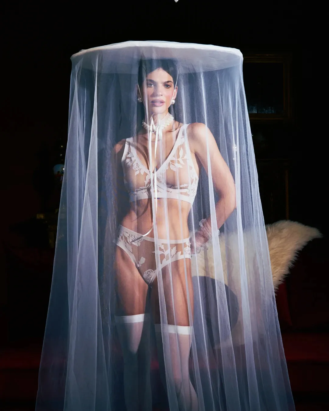 Madam Lux Sheer Brief sold by EBY product image thumbnail 3