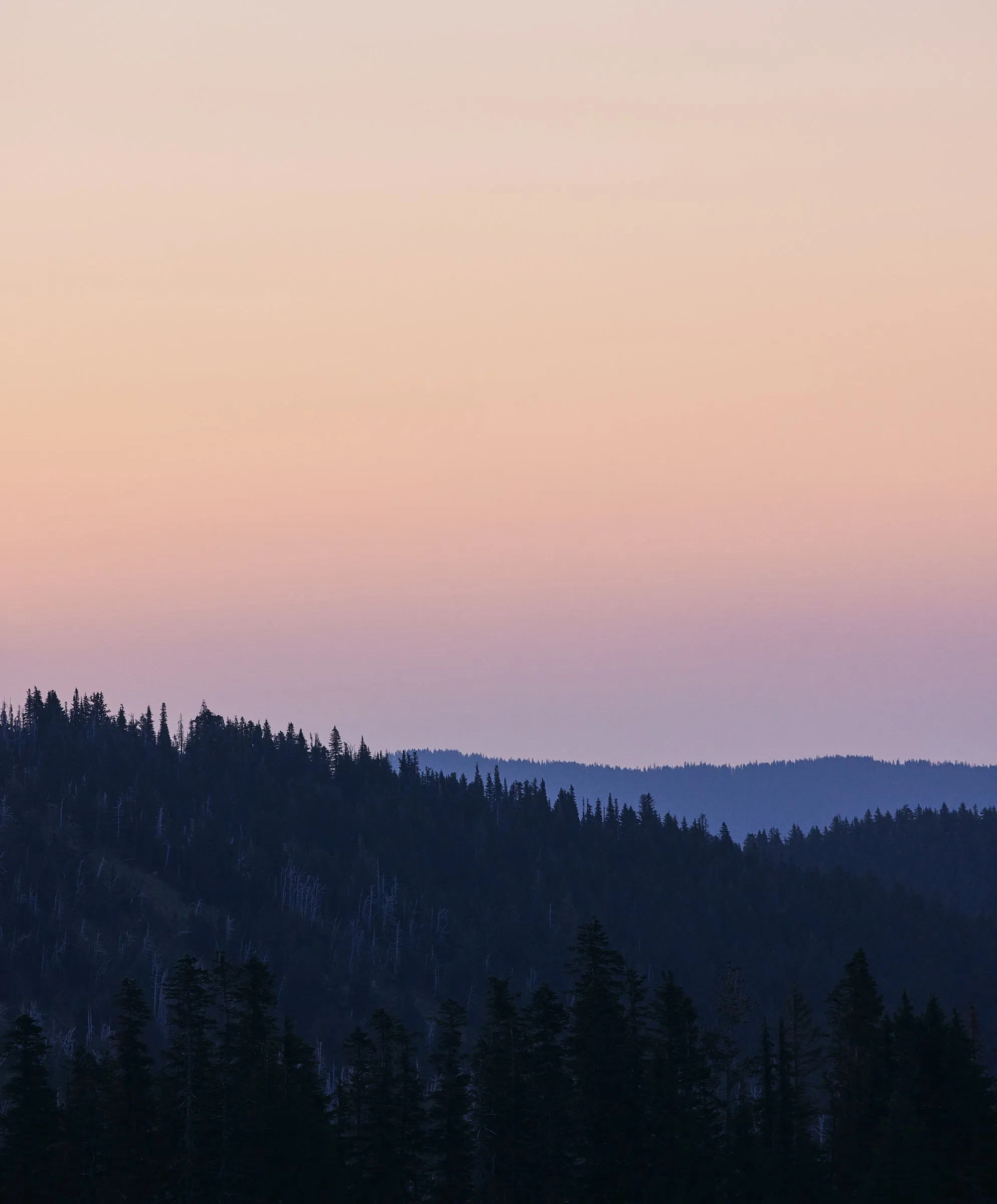 Atlantic Oxford Shirt - SALE sold by Outerknown product image thumbnail 3