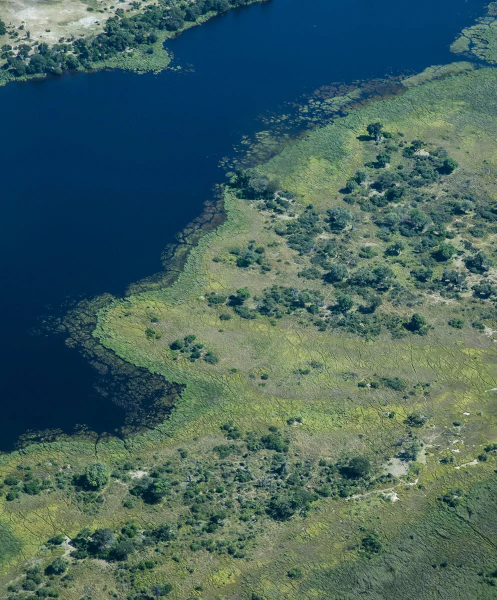 OK Active Leggings - FINAL SALE sold by Outerknown product image thumbnail 3