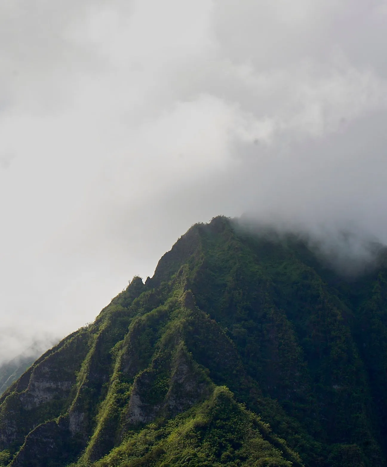 Warm-Up Knit Jogger - Outerworn sold by Outerknown product image thumbnail 3