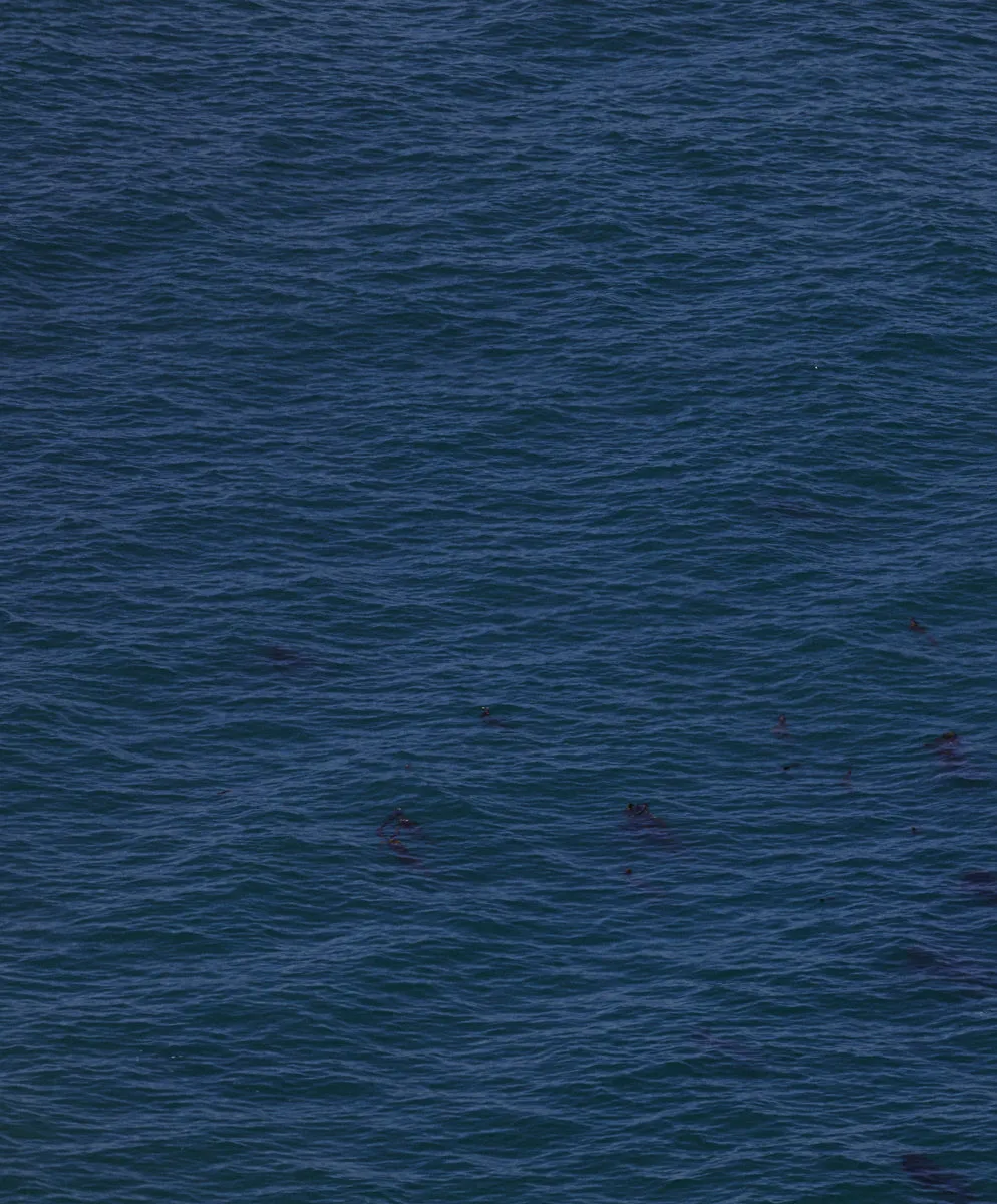 S.E.A. Short Sleeve Shirt - FINAL SALE sold by Outerknown product image thumbnail 3