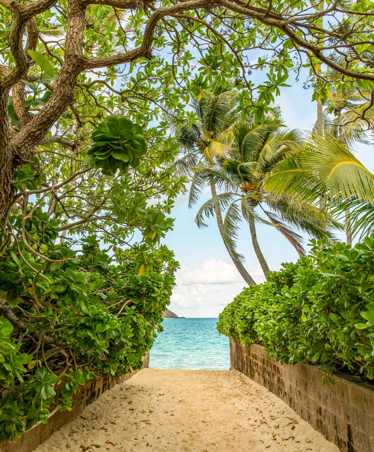 Rewind Romper - FINAL SALE sold by Outerknown product image thumbnail 3