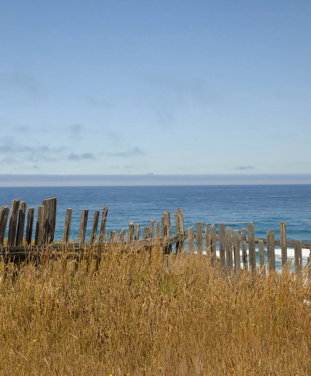 Perry Sweater Vest - FINAL SALE sold by Outerknown product image thumbnail 3