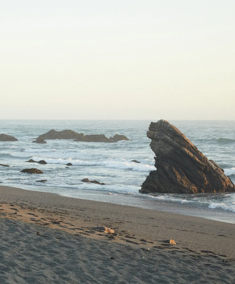 Westbound Utility Pants - SALE sold by Outerknown product image thumbnail 3