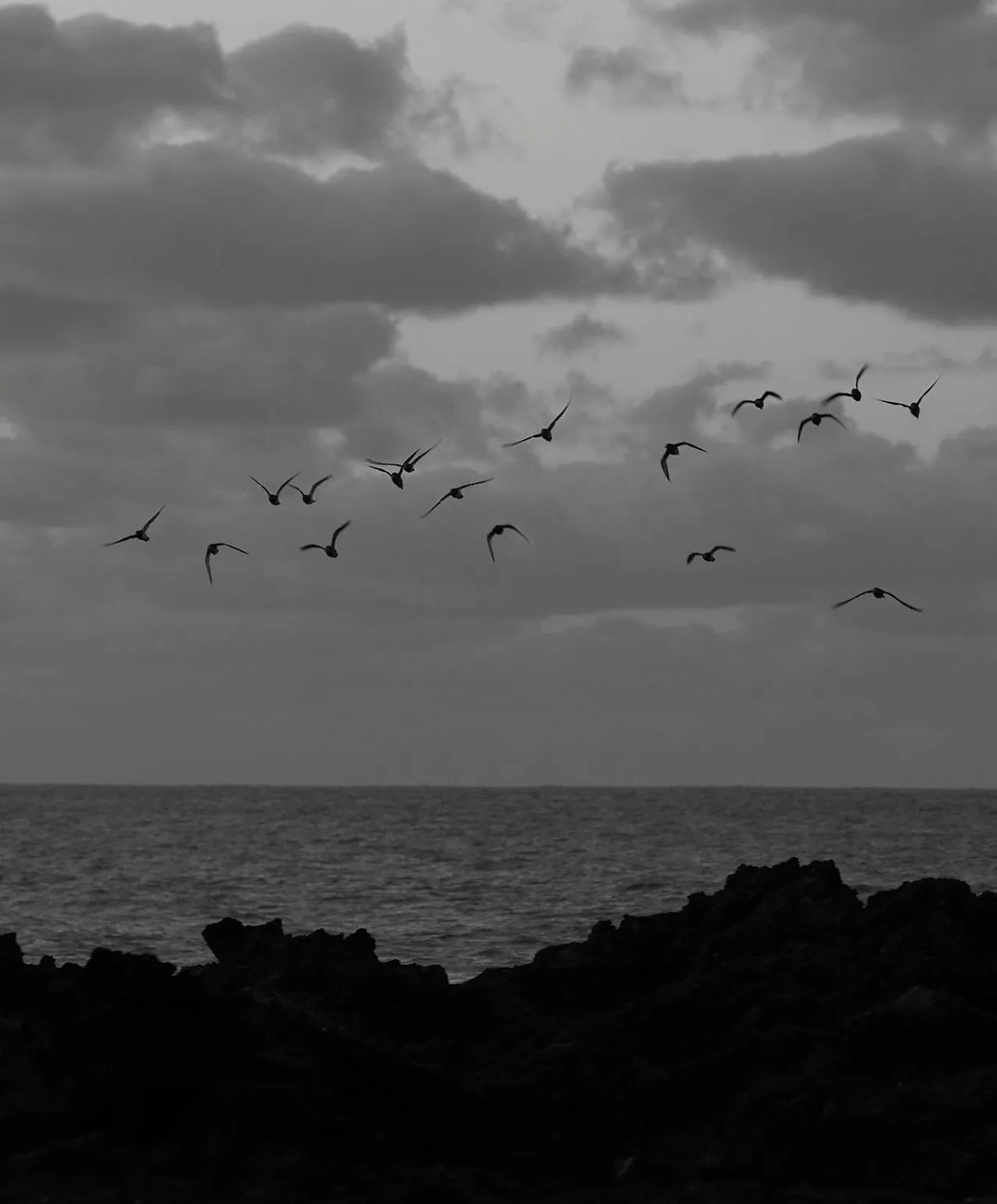 Sojourn Pocket Tee - SALE sold by Outerknown product image thumbnail 4