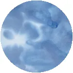 Tie-Dye Nomadic Volley - SALE sold by Outerknown product image thumbnail 4