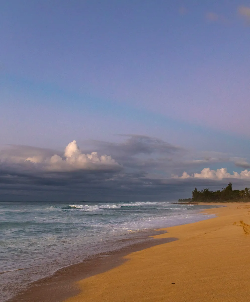 Voyage Overalls - FINAL SALE sold by Outerknown product image thumbnail 3