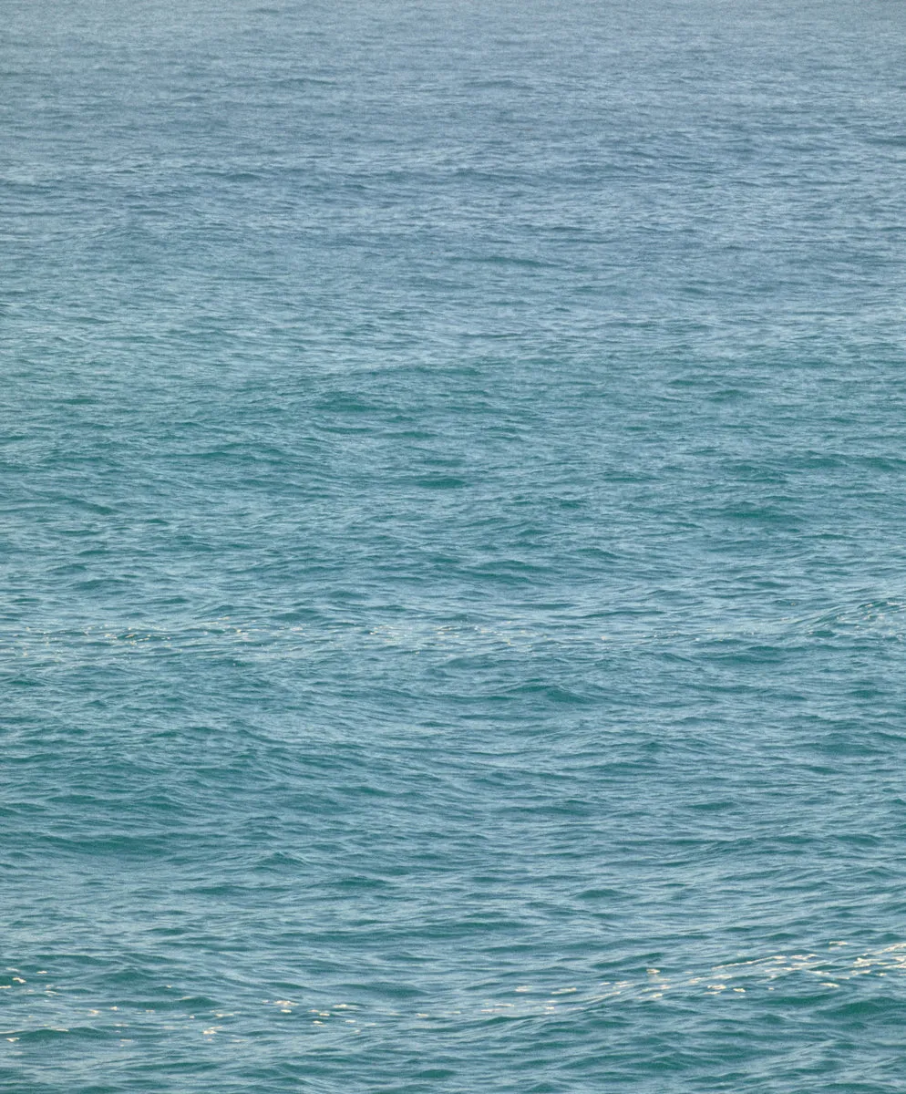 Rambler Shirt - FINAL SALE sold by Outerknown product image thumbnail 3