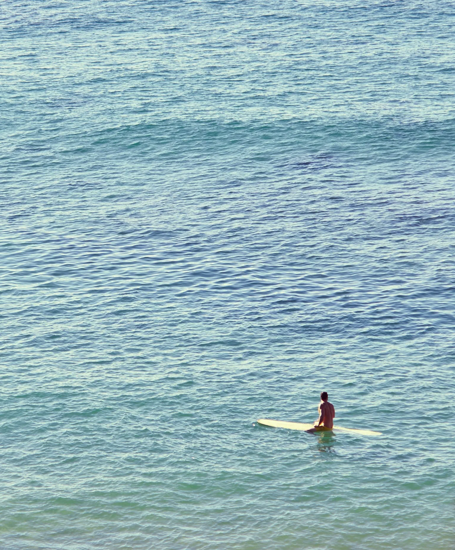 Hightide Sweatpants - FINAL SALE sold by Outerknown product image thumbnail 5