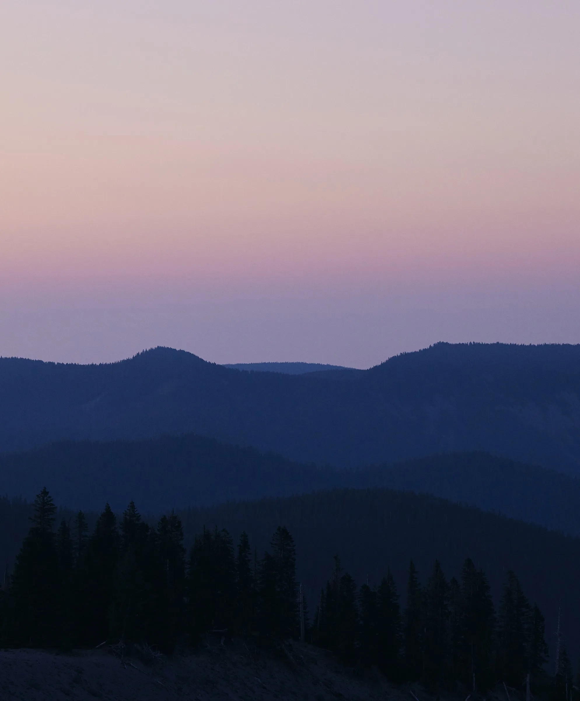 Astor OK Sweatpants - SALE sold by Outerknown product image thumbnail 3