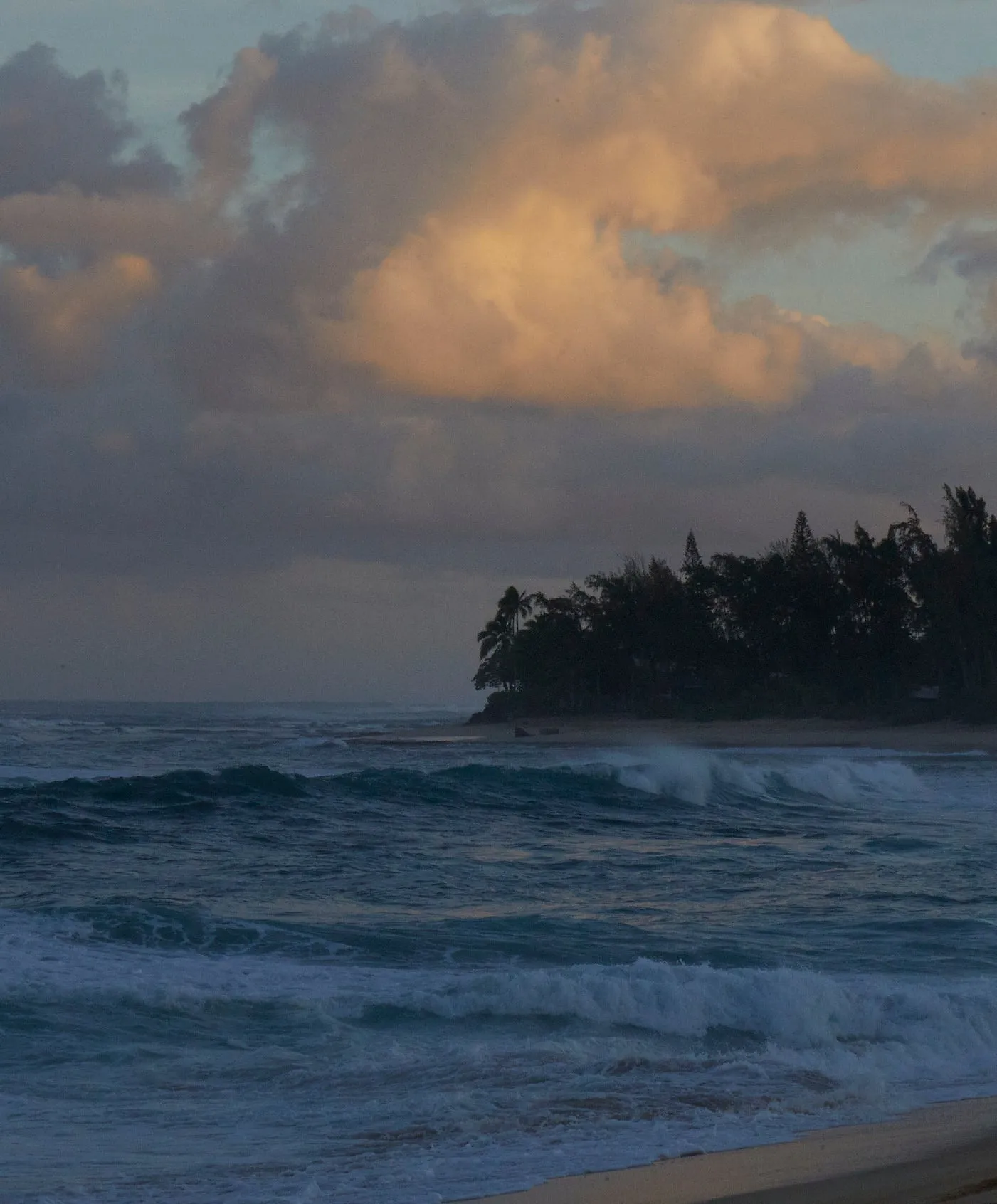Linen S/S Camp Shirt - FINAL SALE sold by Outerknown product image thumbnail 3