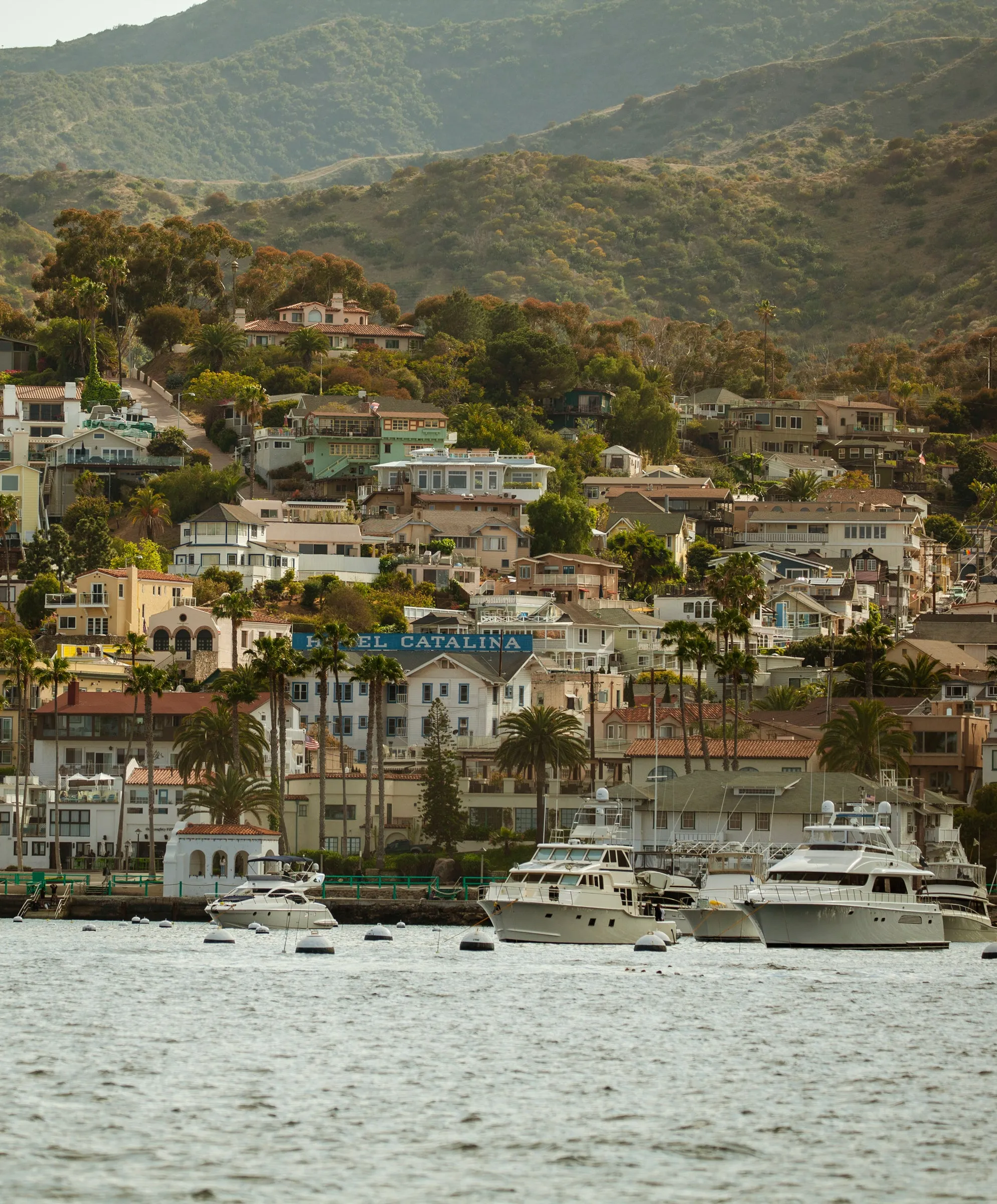 Ellison Slip Dress - FINAL SALE sold by Outerknown product image thumbnail 3