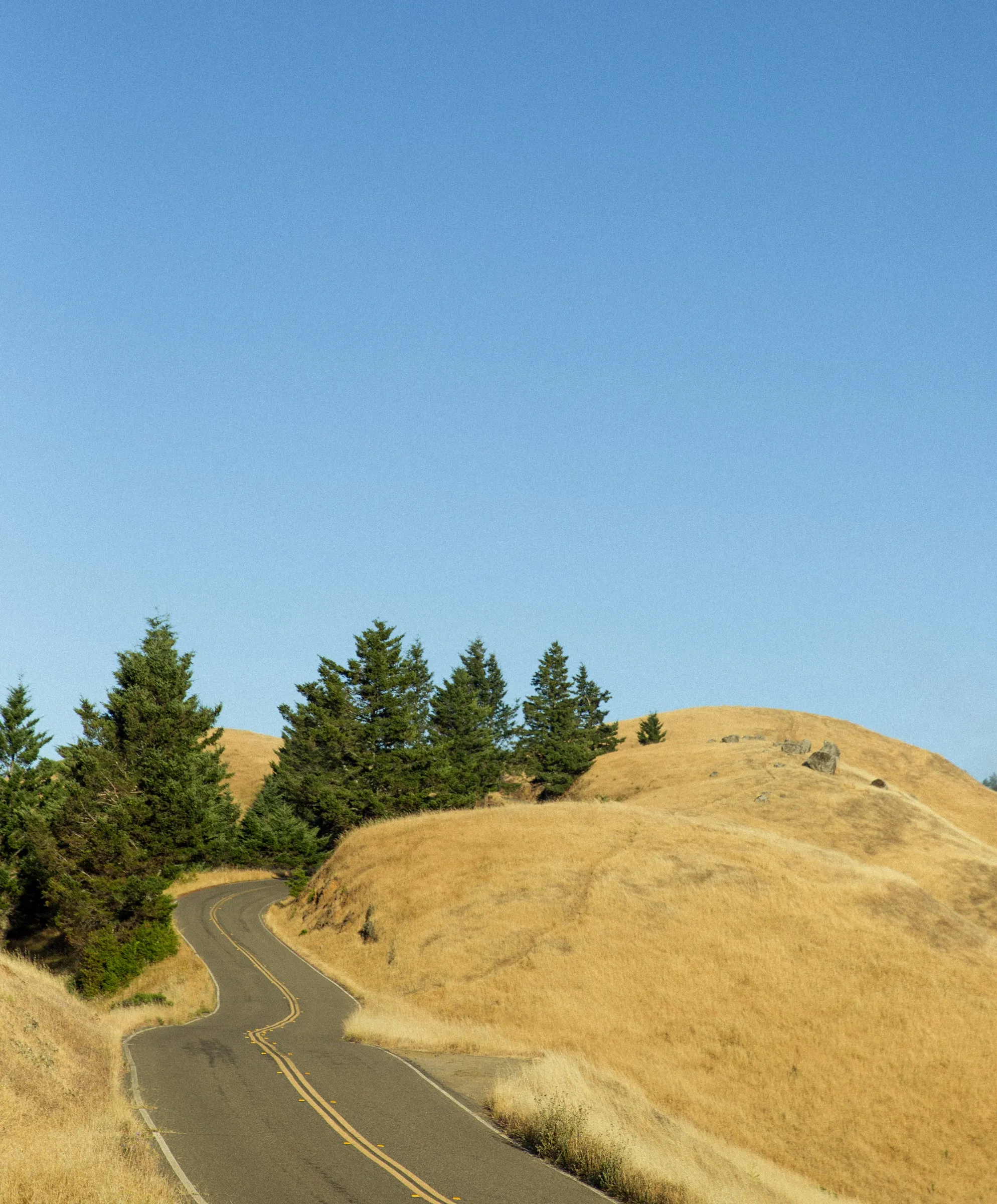 Seventyseven Cord Utility Shorts - SALE sold by Outerknown product image thumbnail 5