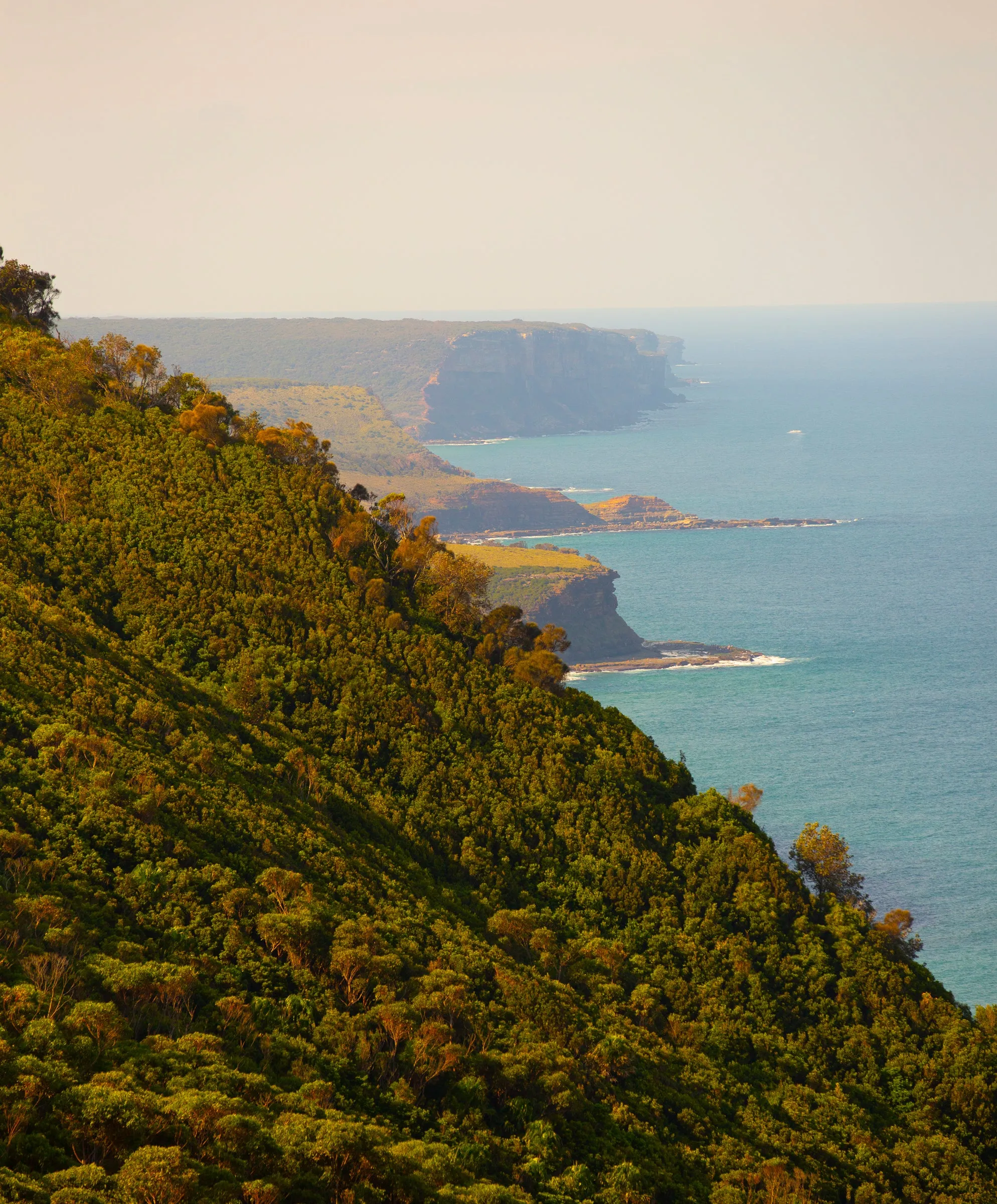 Ambassador Slim Fit: Chino - SALE sold by Outerknown product image thumbnail 3