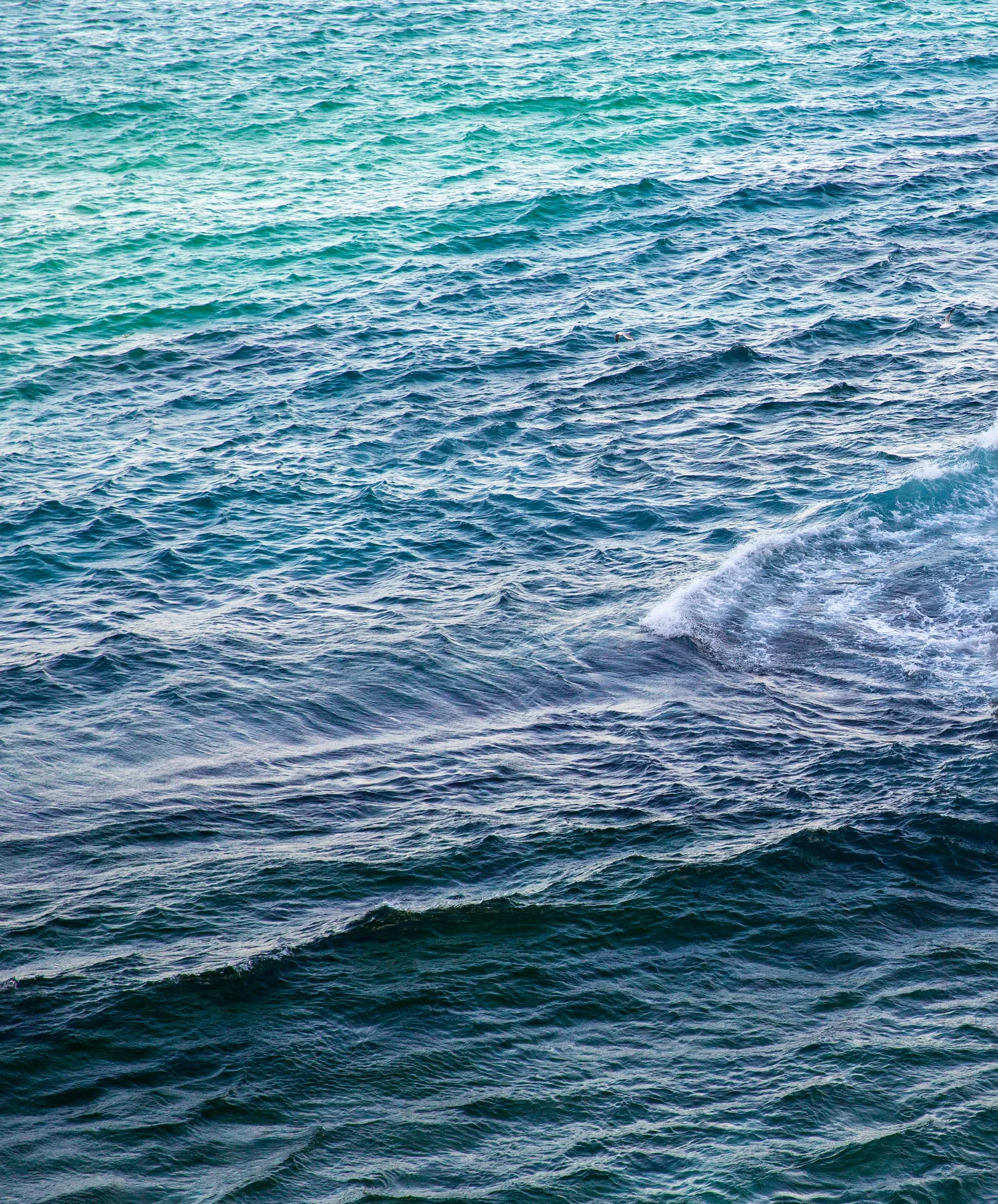 Saltwater Slub Pocket Tee - SALE sold by Outerknown product image thumbnail 5