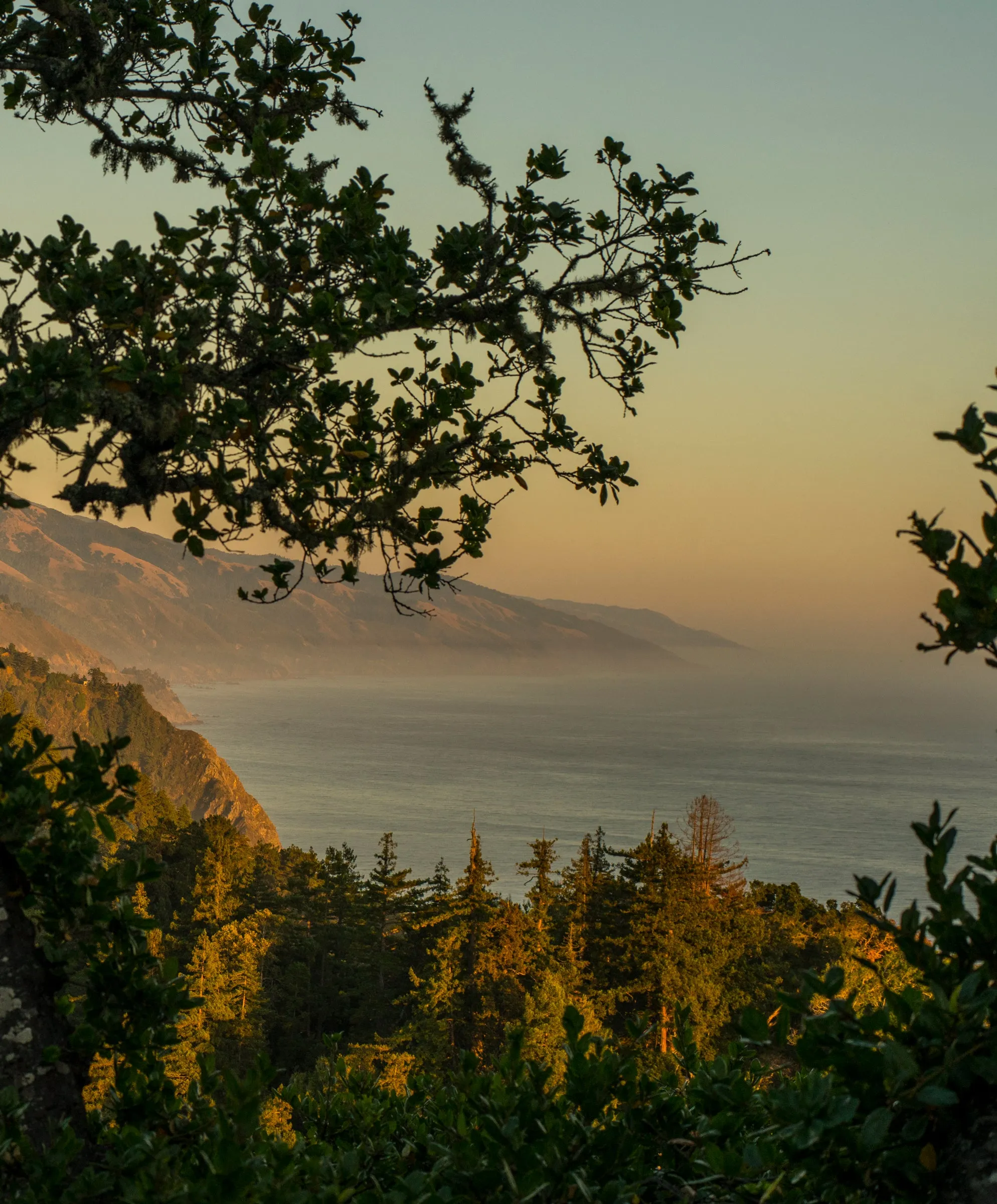 Tomales Donegal Sweater - SALE sold by Outerknown product image thumbnail 3