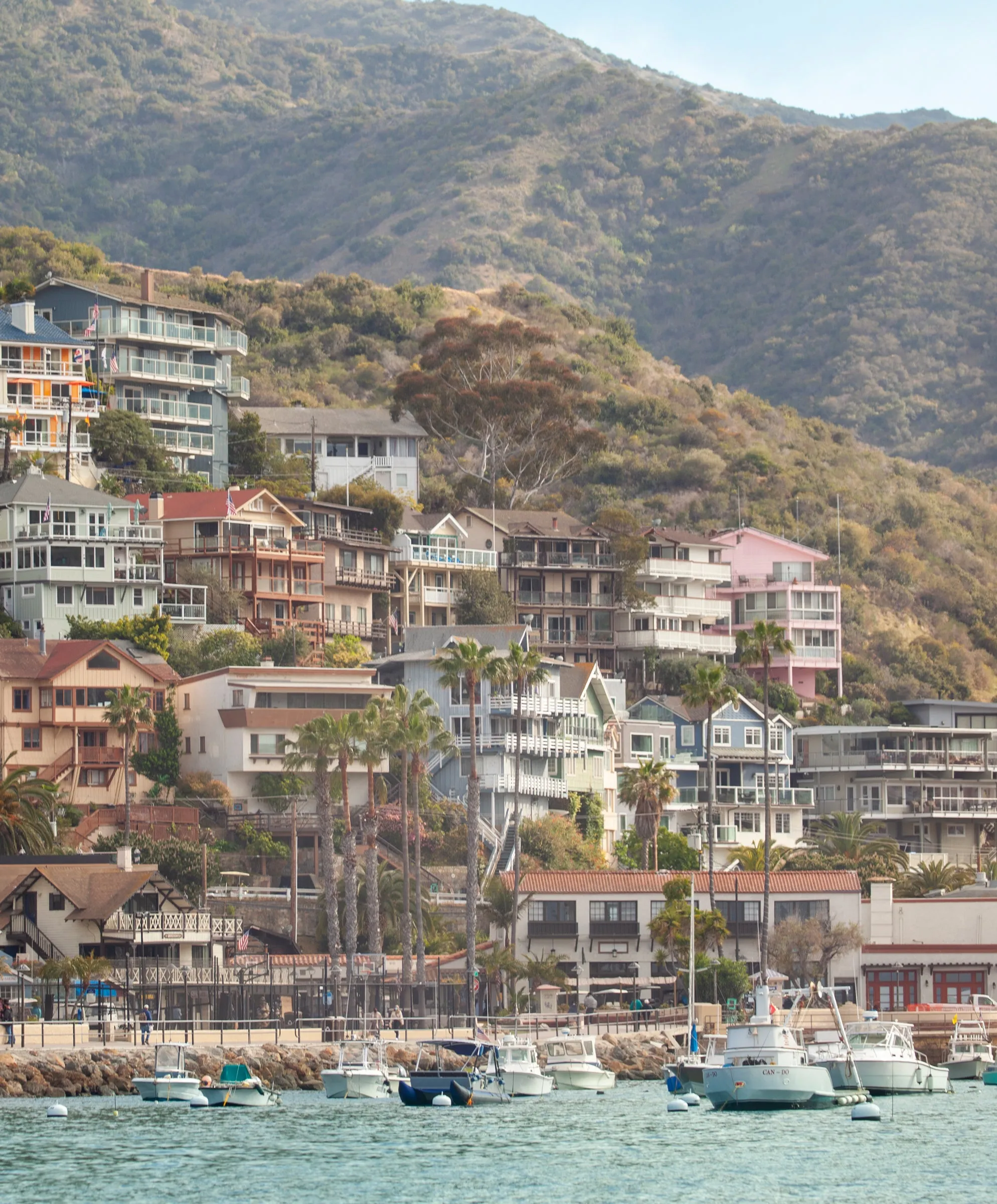 APEX Trunks by Kelly Slater - SALE sold by Outerknown product image thumbnail 5