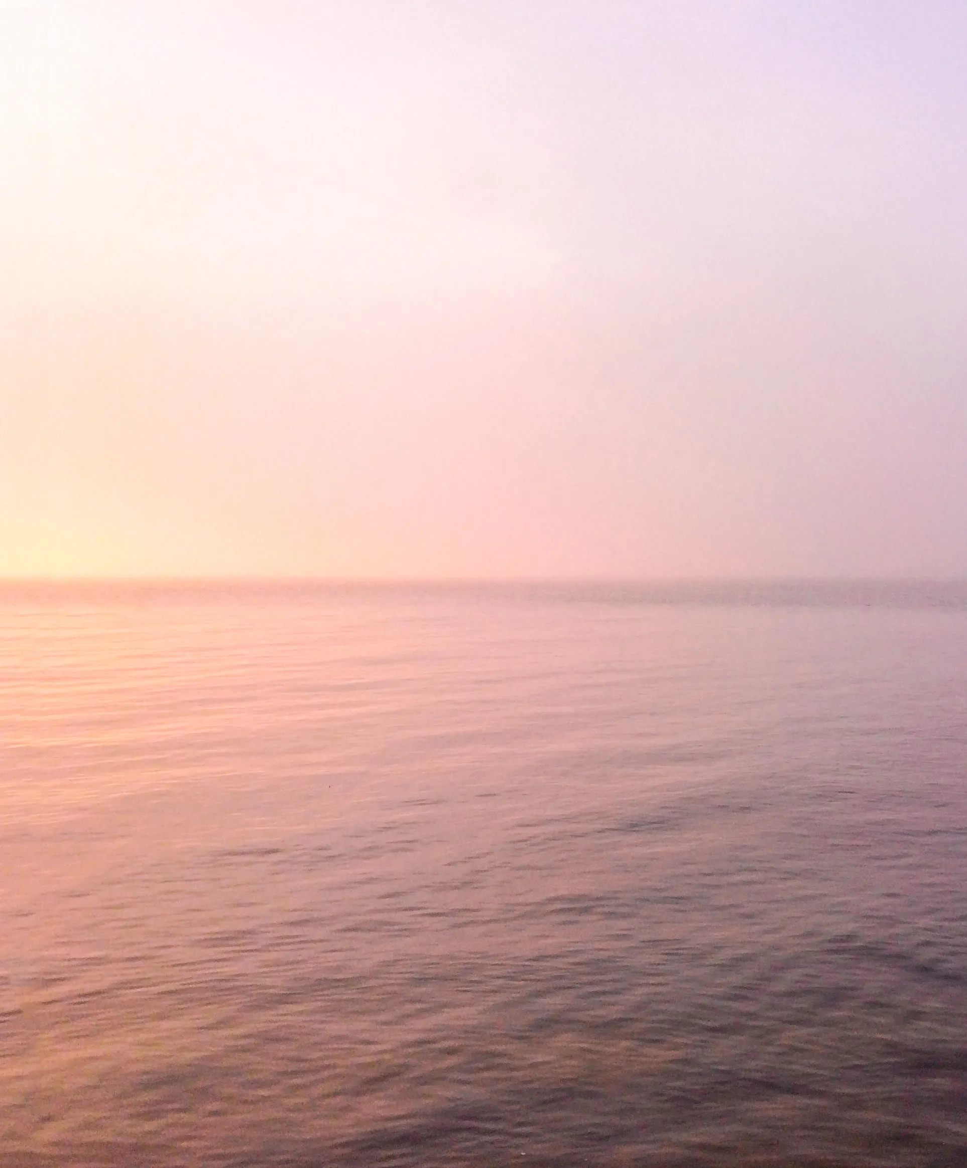 Women's Blanket Shirt - Outerworn sold by Outerknown product image thumbnail 3