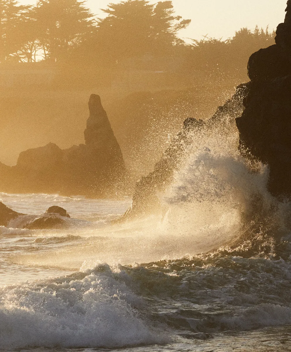 Voyager Utility Shorts - SALE sold by Outerknown product image thumbnail 3