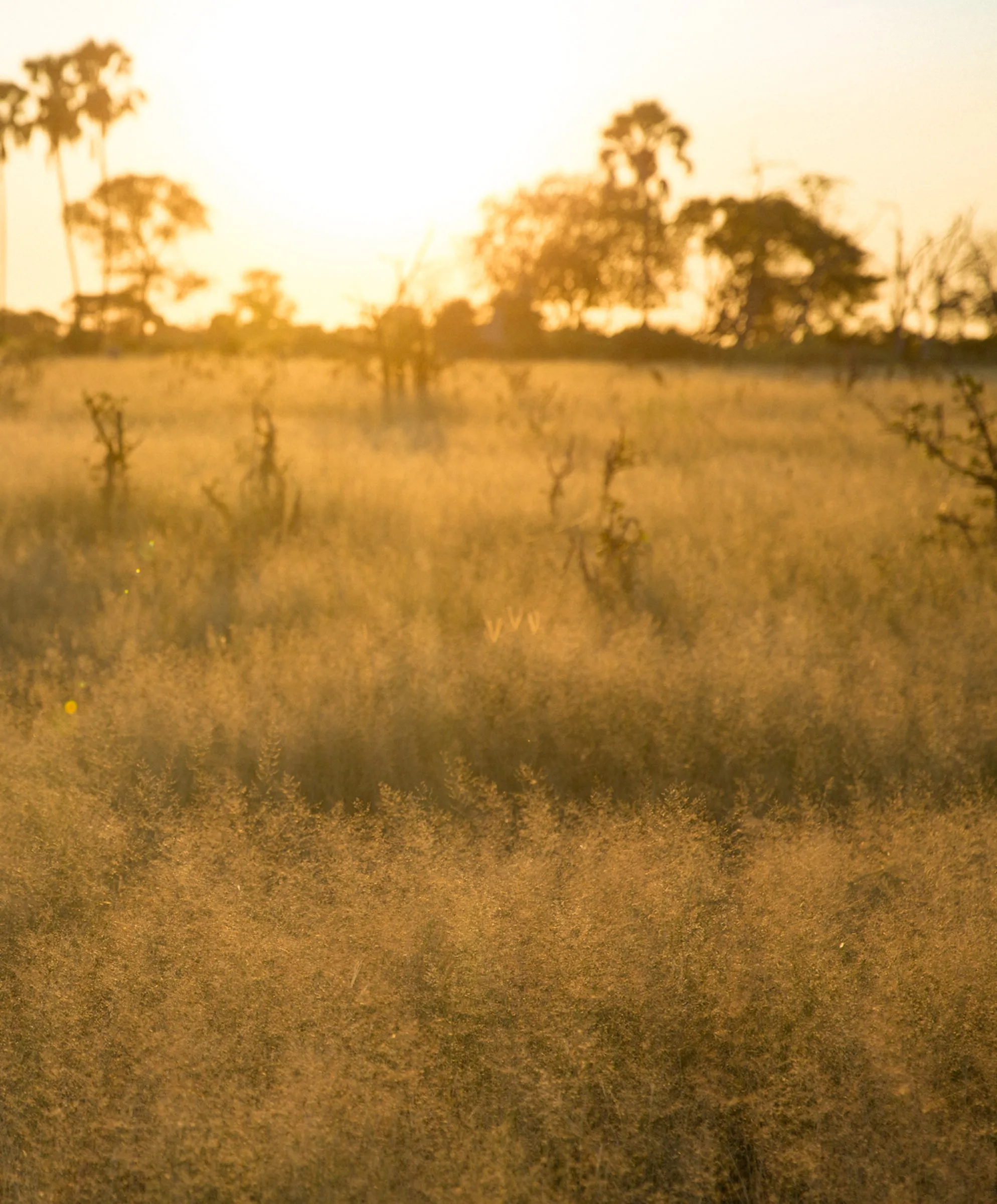 Station Jumpsuit - FINAL SALE sold by Outerknown product image thumbnail 3