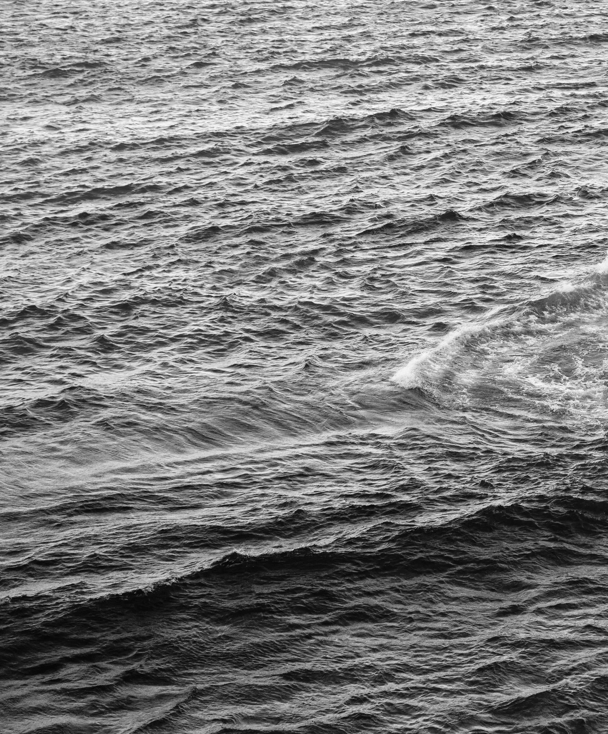 Offshore Linen Tank - Outerworn sold by Outerknown product image thumbnail 3