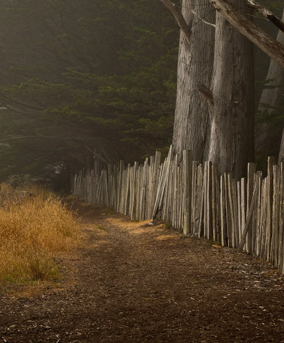Sojourn Pocket Tee sold by Outerknown product image thumbnail 5