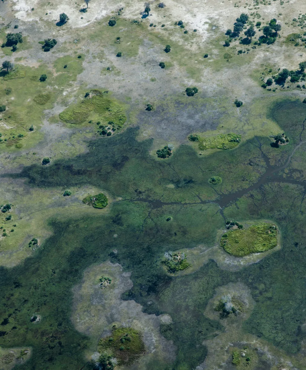 Ronan Velour Sweatpants - SALE sold by Outerknown product image thumbnail 3