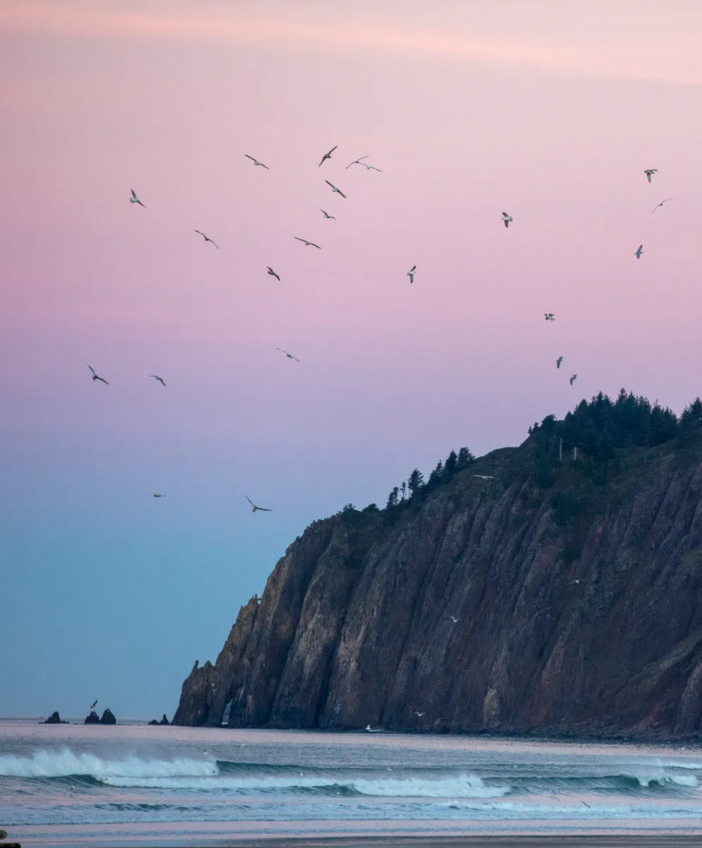 Blanket Shirt - SALE sold by Outerknown product image thumbnail 3