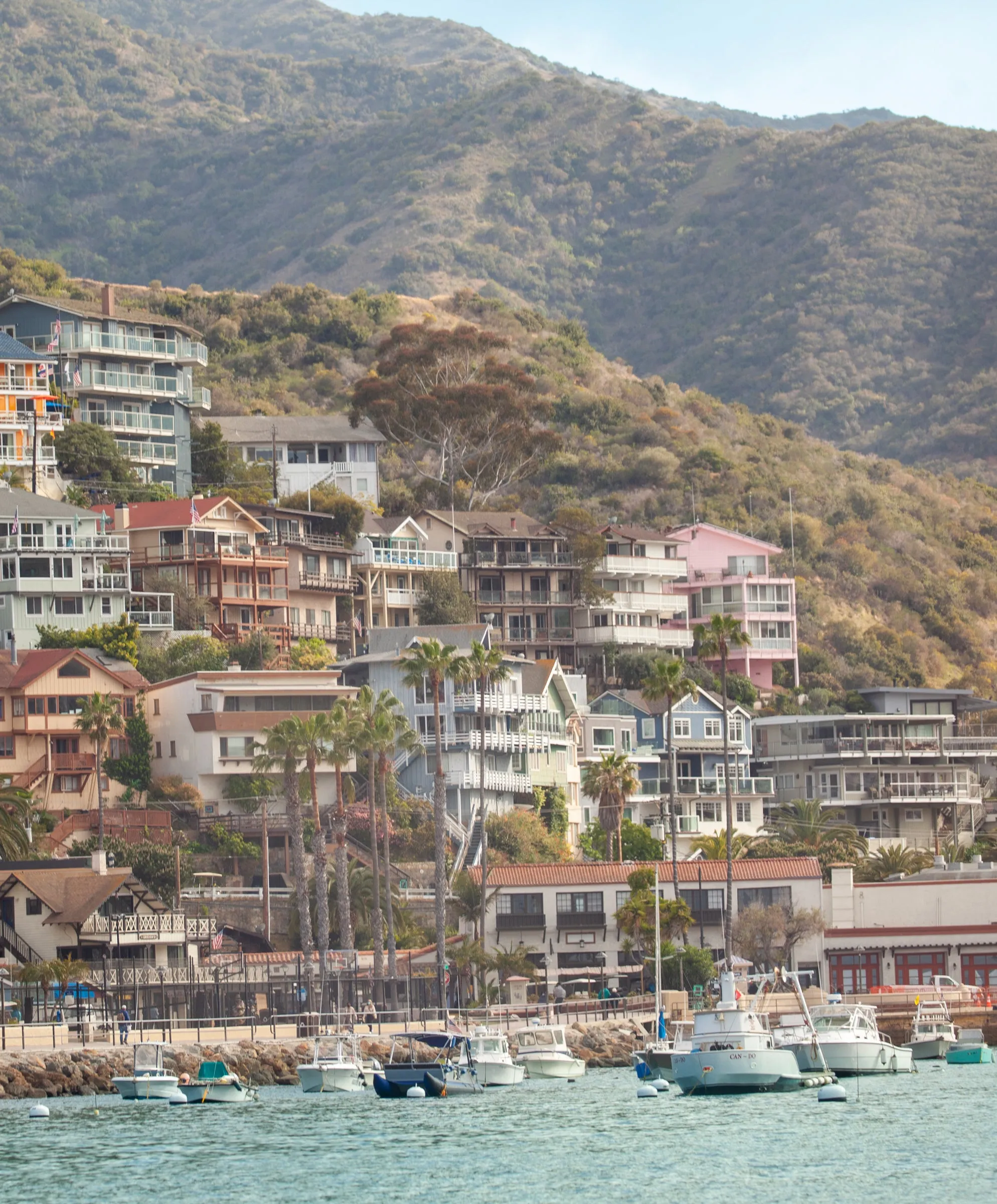 Sojourn Paris Tee - FINAL SALE sold by Outerknown product image thumbnail 3