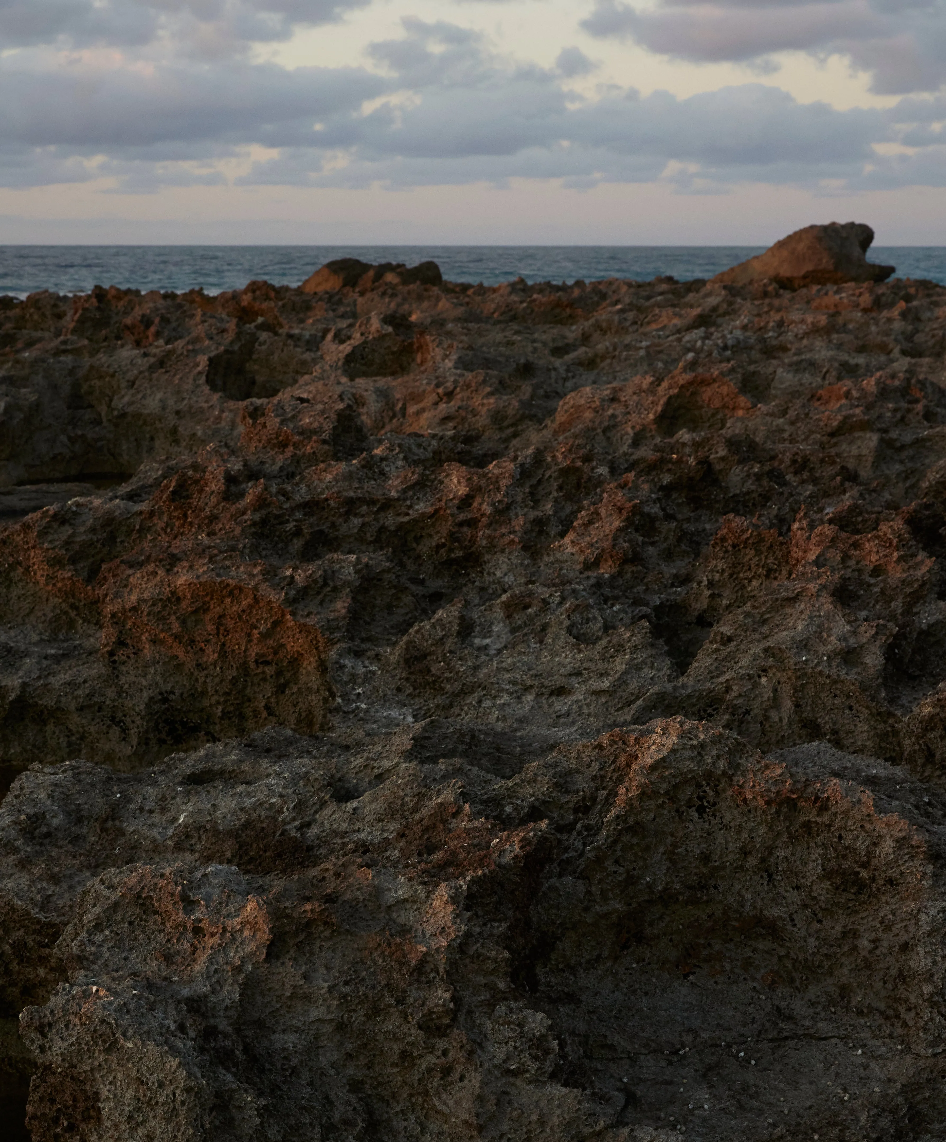 Terra Nova Moleskin Shirt - SALE sold by Outerknown product image thumbnail 3