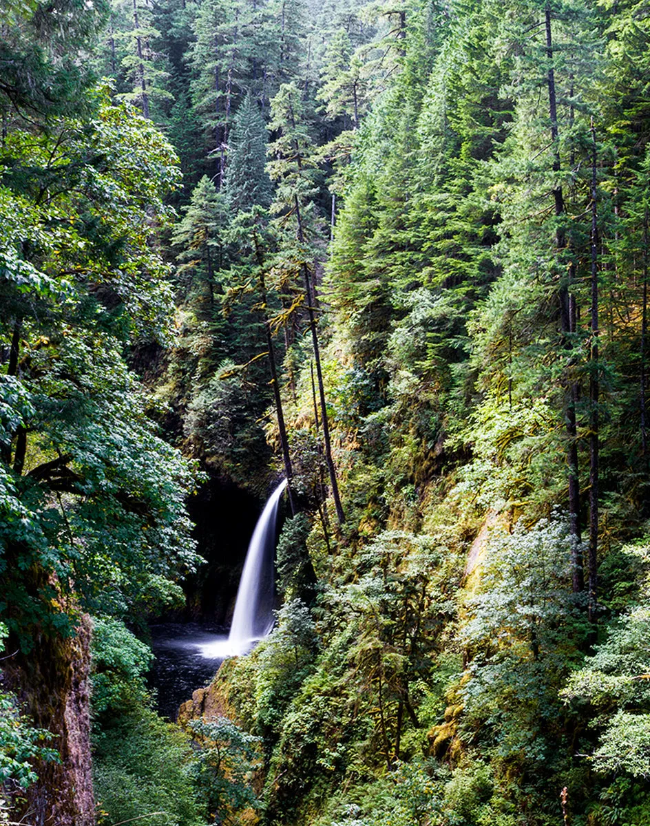 The Field Pant - Outerworn sold by Outerknown product image thumbnail 3