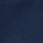 The Field Pant - Outerworn sold by Outerknown product image thumbnail 5