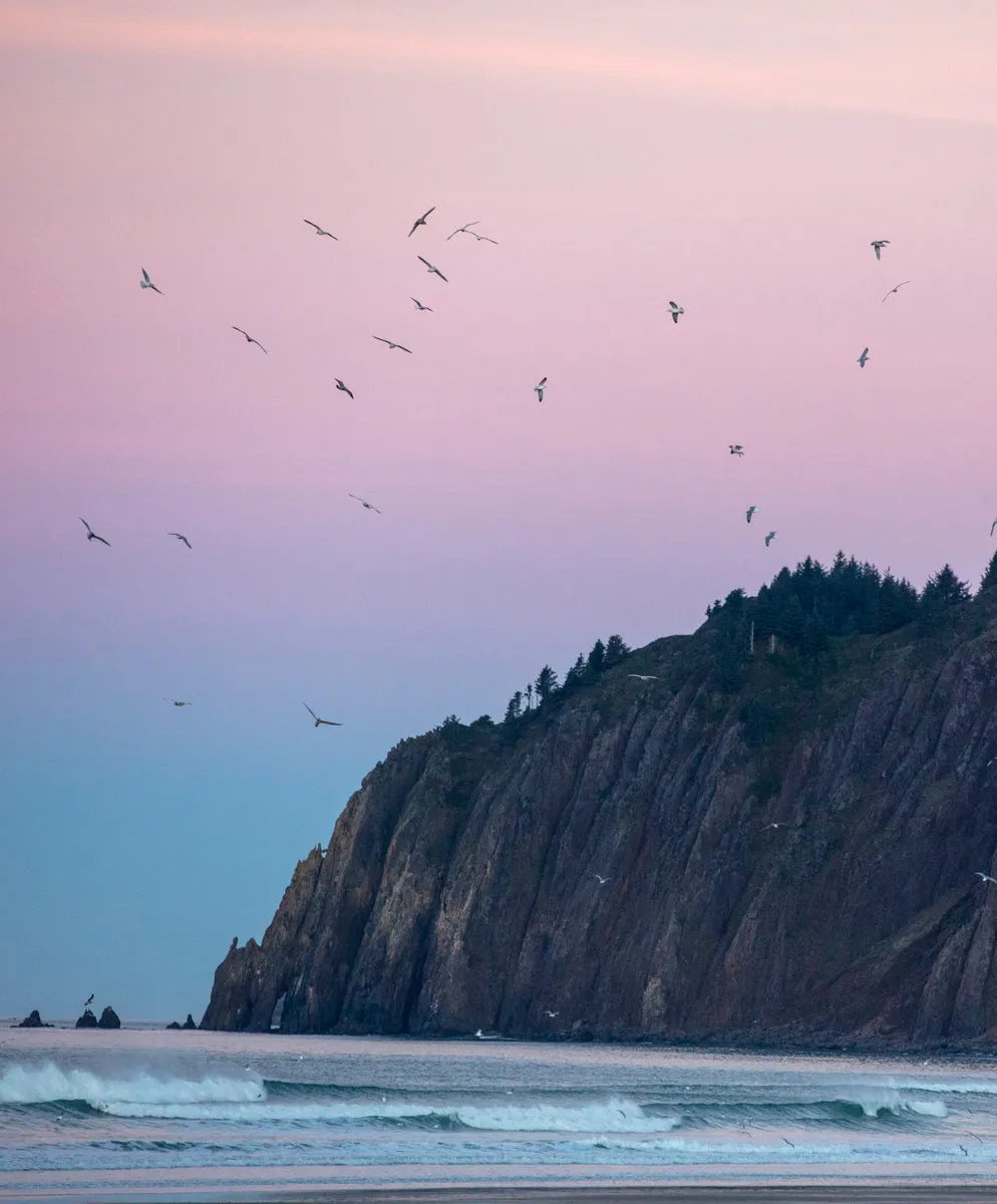 Archer Cashmere Crew with Tipping - Outerworn sold by Outerknown product image thumbnail 3