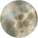 Happy Tie-Dye Hoodie - Outerworn sold by Outerknown product image thumbnail 4