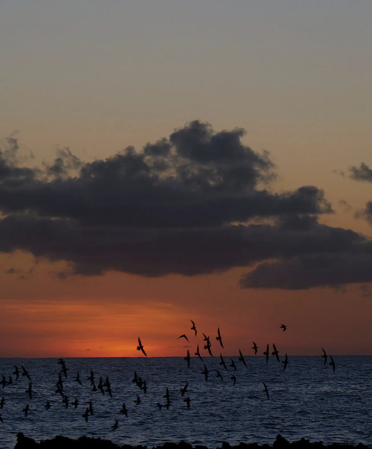 Chroma Blanket Shirt - Outerworn sold by Outerknown product image thumbnail 3
