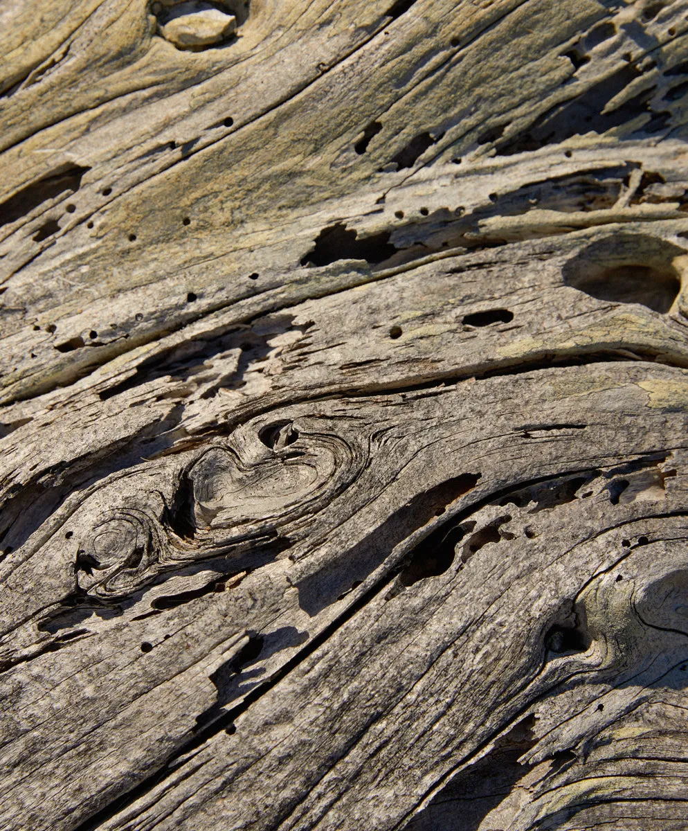 Ambassador Slim Fit: Chino - Outerworn sold by Outerknown product image thumbnail 3