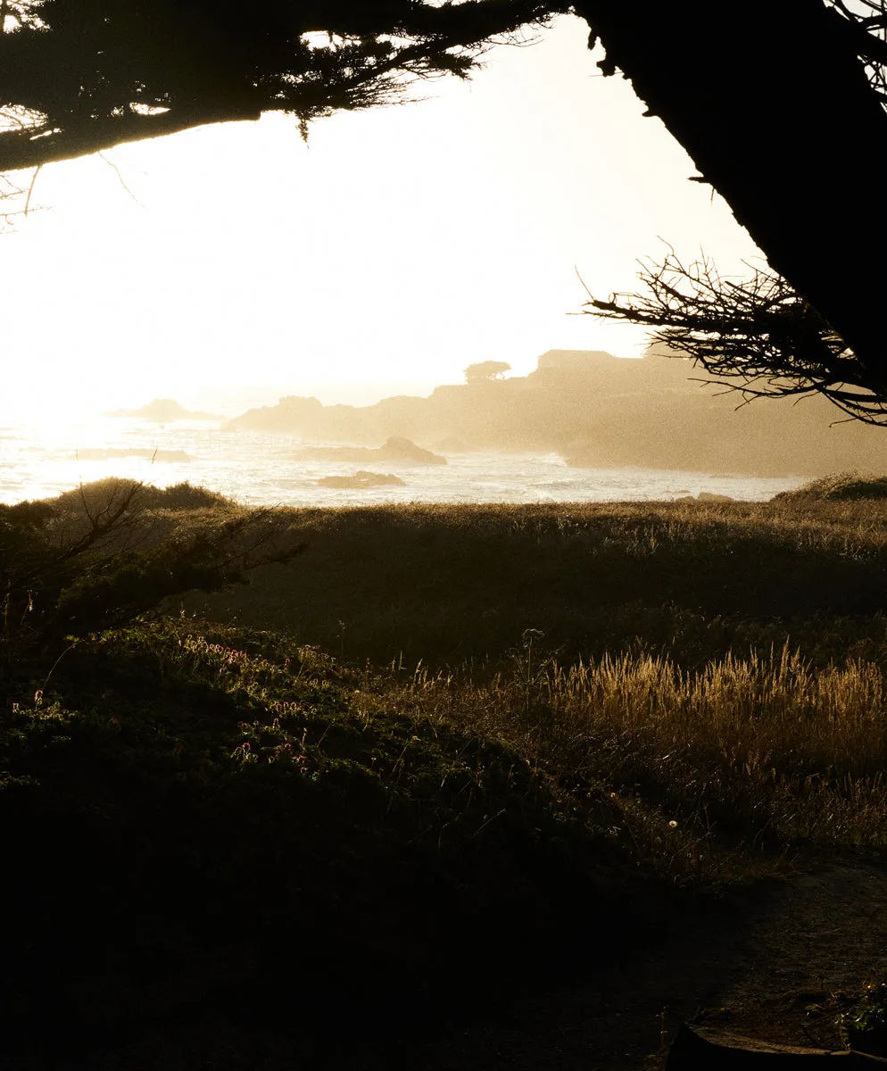 Nomadic Lined Volley - Outerworn sold by Outerknown product image thumbnail 5