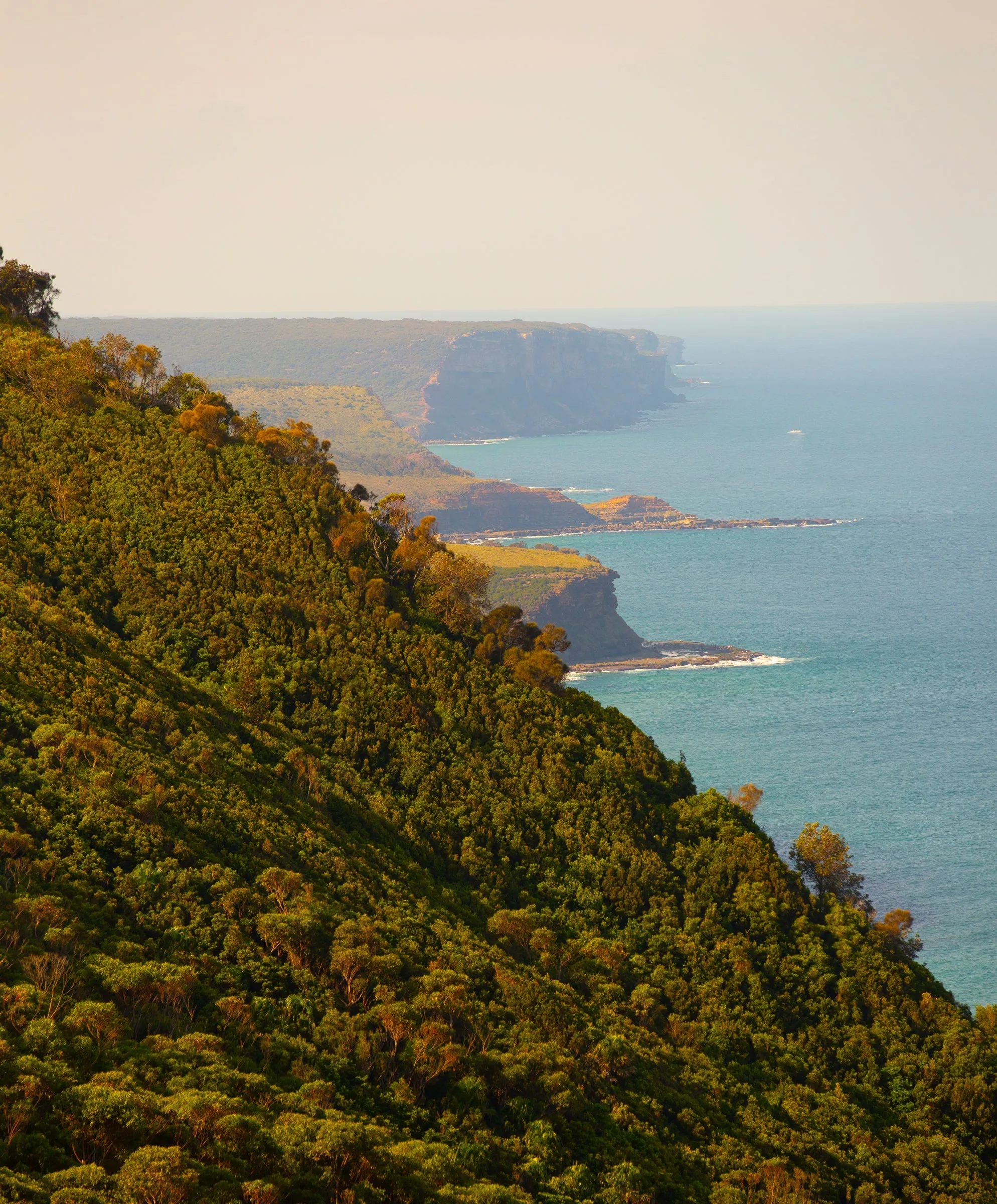 Ambassador Slim Fit: Chino - Outerworn sold by Outerknown product image thumbnail 3