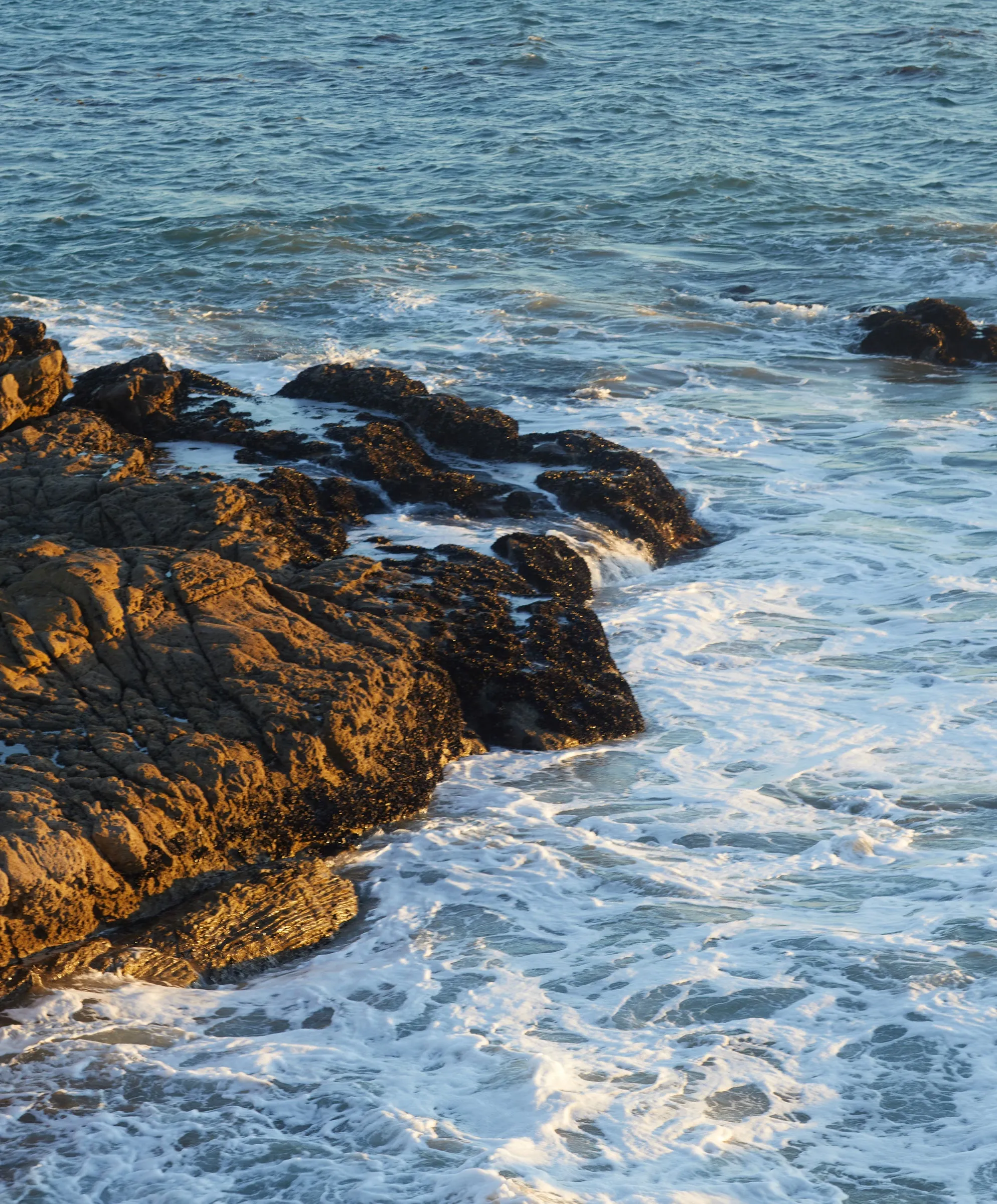 Liberty Straight - SALE sold by Outerknown product image thumbnail 3