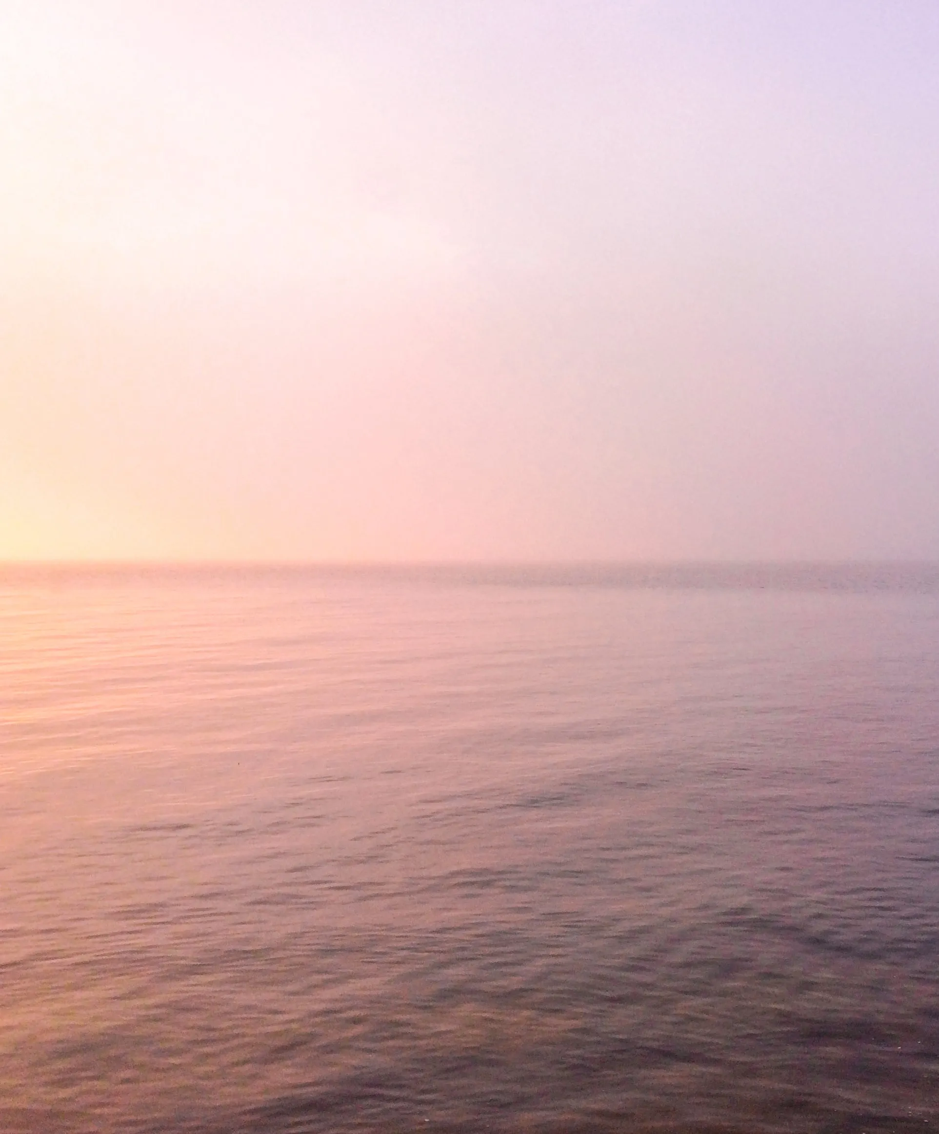 Women's Hightide Sweatpants - Outerworn sold by Outerknown product image thumbnail 3