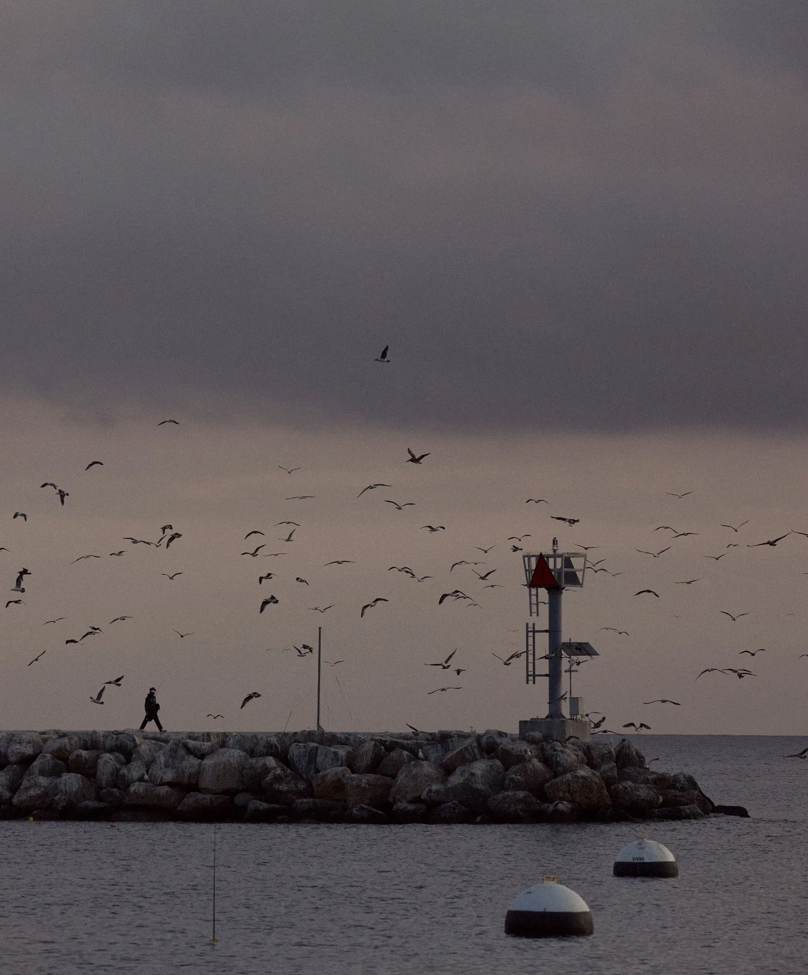 Tomales Donegal Crew - Outerworn sold by Outerknown product image thumbnail 3