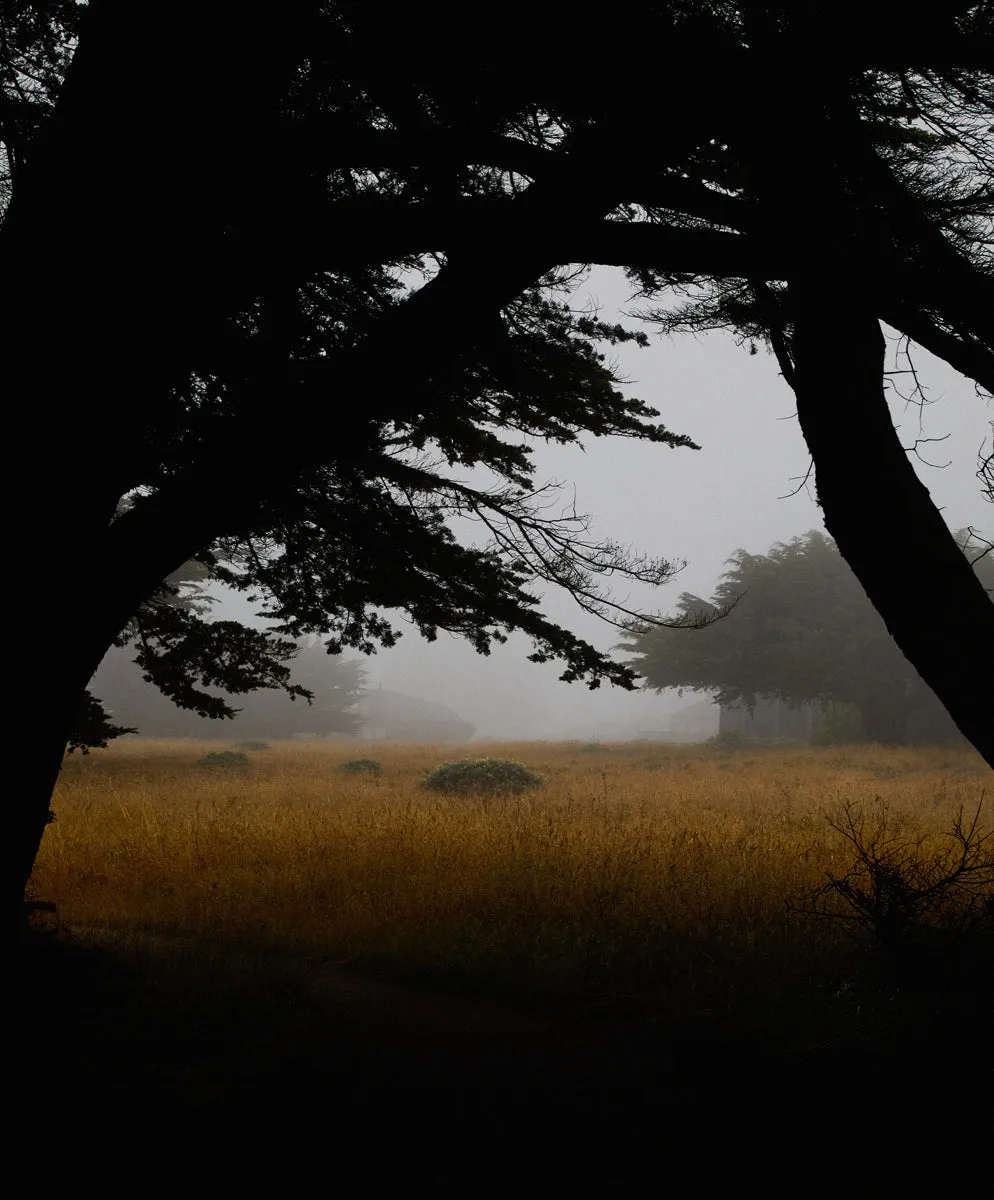 Emory Stretch Pants - Outerworn sold by Outerknown product image thumbnail 3