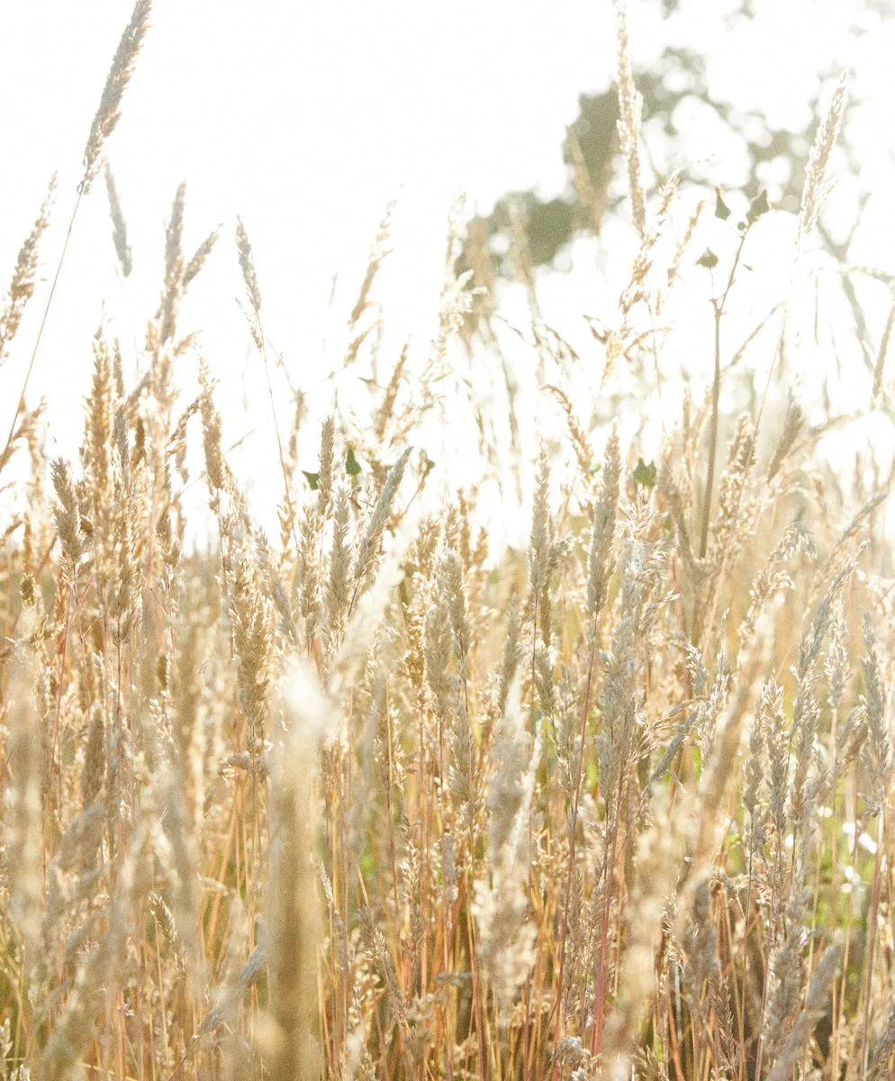 Sienna Sweater - Outerworn sold by Outerknown product image thumbnail 3