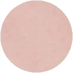 Women's Hightide Crew - Outerworn sold by Outerknown product image thumbnail 5