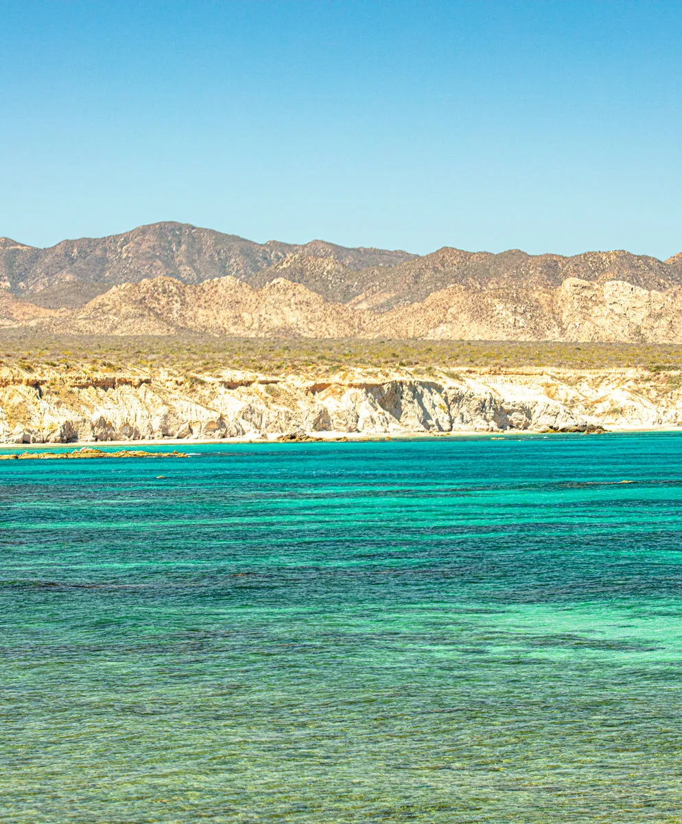 Sur Snap Hoodie - Outerworn sold by Outerknown product image thumbnail 3