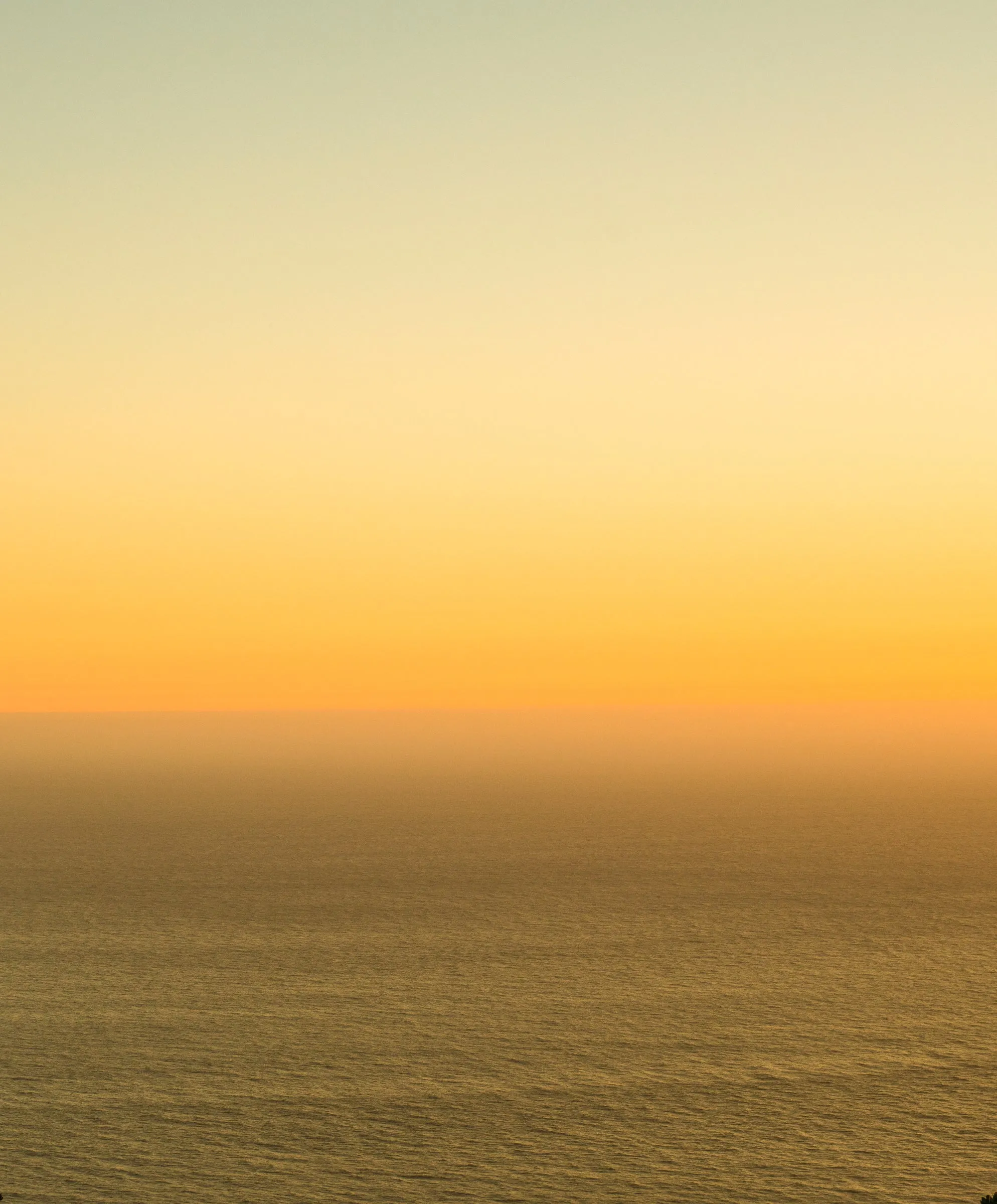 Seventyseven Stretch Cord Shorts - Outerworn sold by Outerknown product image thumbnail 3