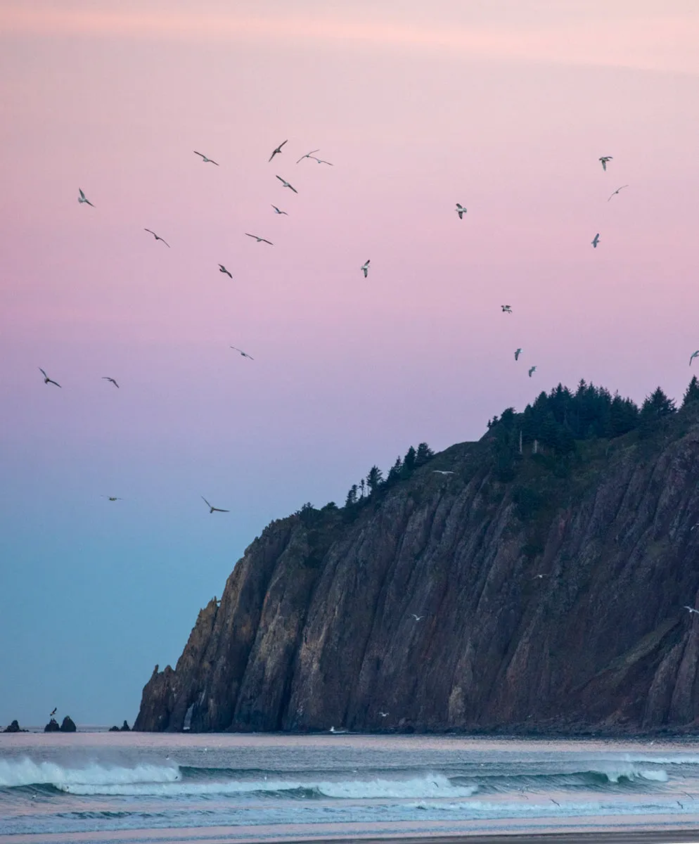 Transitional Flannel Shirt - Outerworn sold by Outerknown product image thumbnail 3