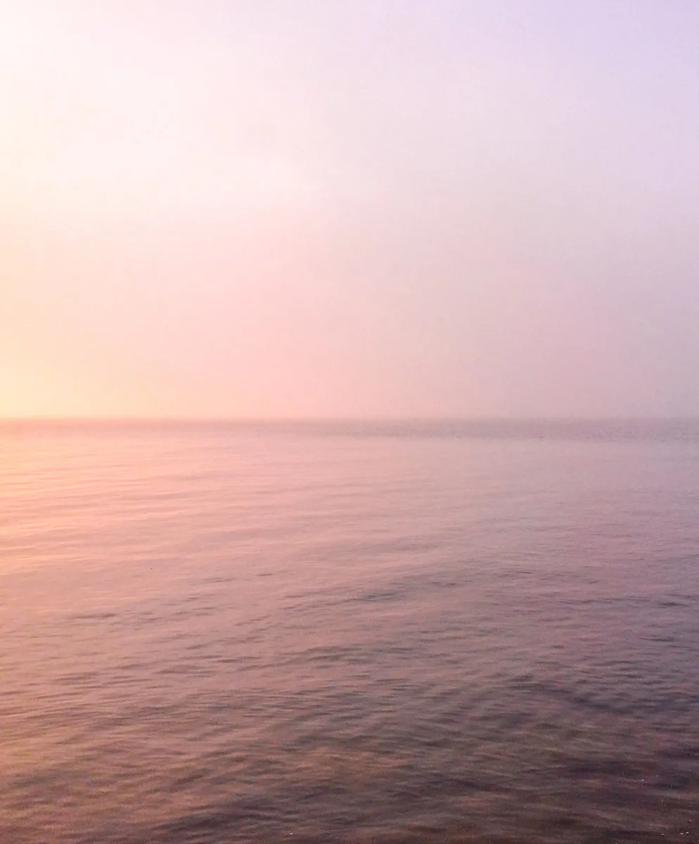 Women's Blanket Shirt - Outerworn sold by Outerknown product image thumbnail 3