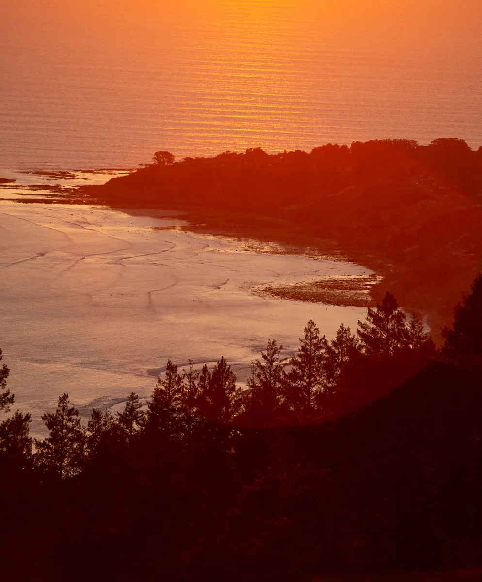 Women's California Sweatpants - Outerworn sold by Outerknown product image thumbnail 3