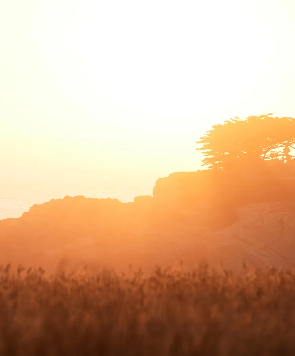 Blanket Shirt - SALE - Outerworn sold by Outerknown product image thumbnail 3